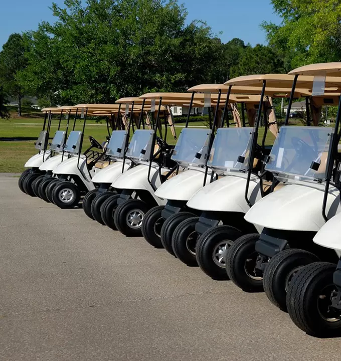 Golf Cart Lithium Battery